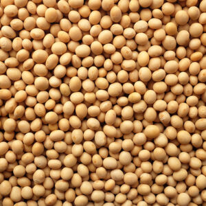 Lecitina de soya fluida NO GMO Food