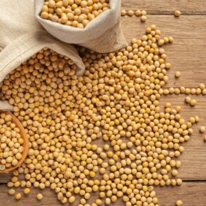 Lecitina de soya en polvo NO GMO