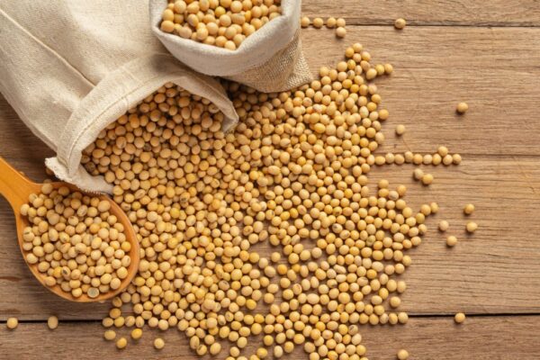 Lecitina de soya fluida NO GMO feed - Image 2