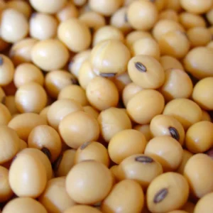 Lecitina de soya fluida GMO Food