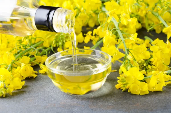 Aceite de canola orgánico refinado