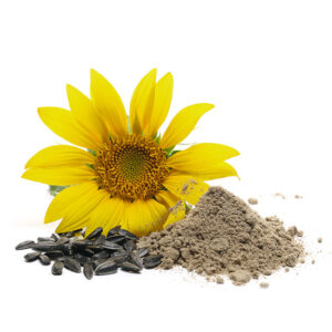 Lecitina de girasol en polvo