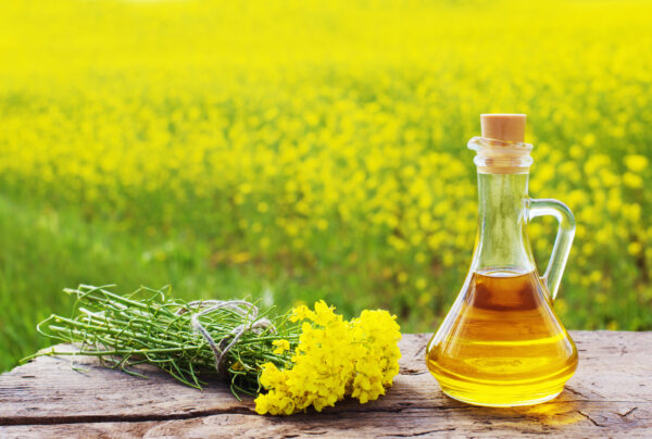 Aceite de canola orgánico refinado - Image 5