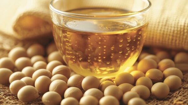 Aceite de soya orgánico