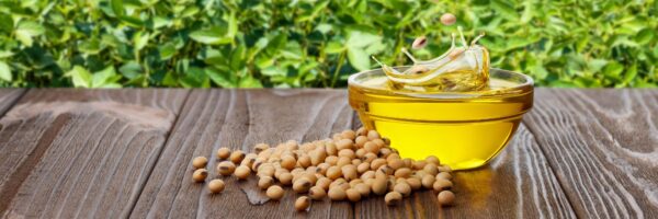 Aceite de soya orgánico - Image 3