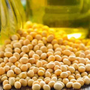 Lecitina de soya fluida GMO